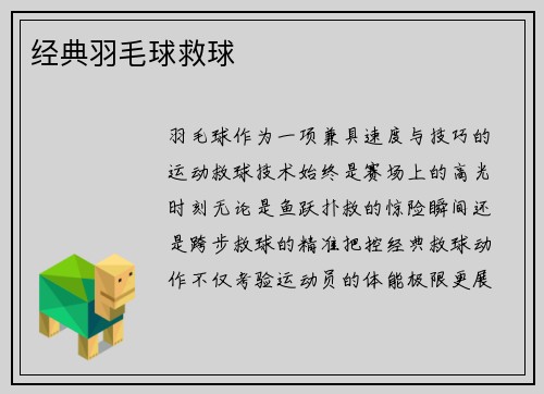 经典羽毛球救球