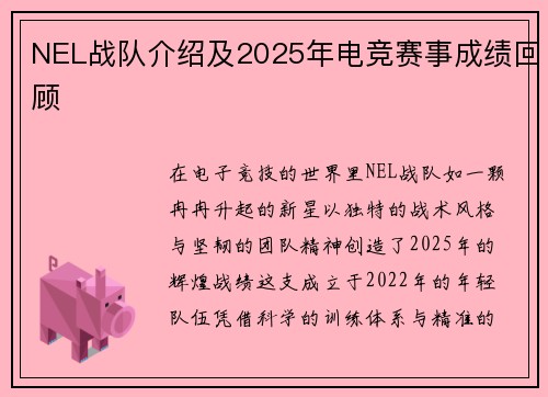 NEL战队介绍及2025年电竞赛事成绩回顾
