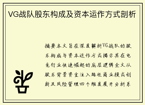 VG战队股东构成及资本运作方式剖析