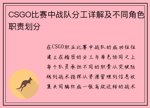 CSGO比赛中战队分工详解及不同角色职责划分